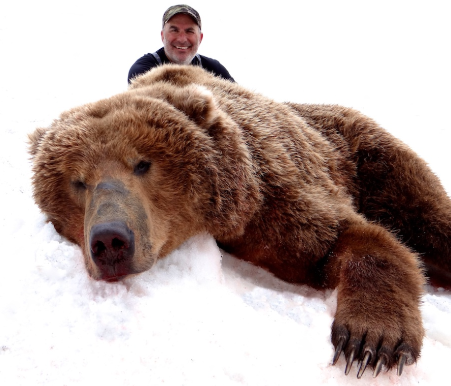 Coastal Alaskan Brown Bear Hunt In Sand Point Alaska USA Shoshone Coastal alaskan brown bear hunt in sand point alaska usa shoshone